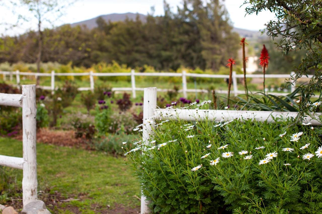 Summerhill Guest Farm Worcester Exteriör bild