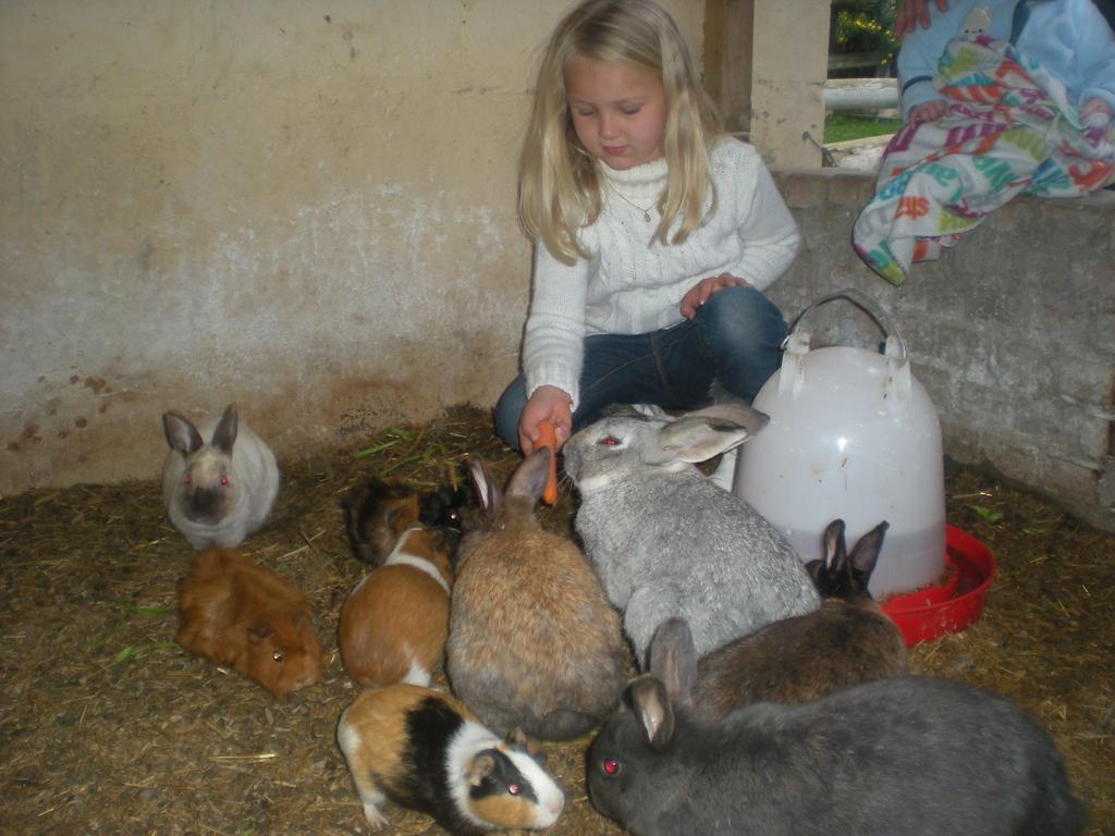 Summerhill Guest Farm Worcester Exteriör bild