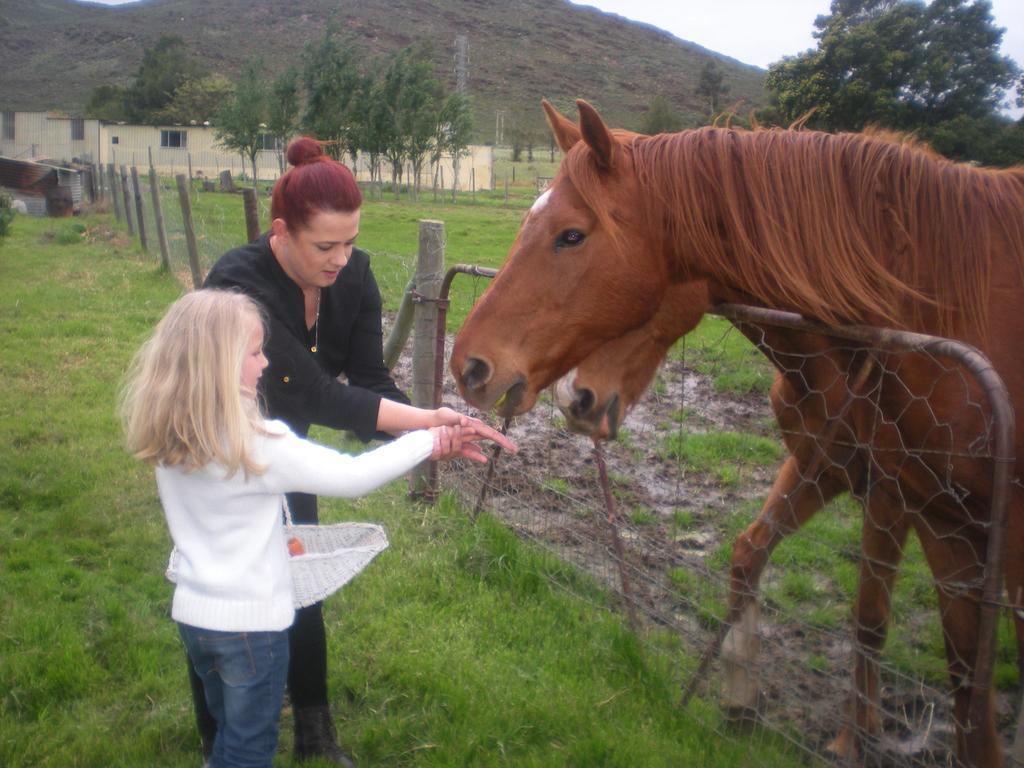 Summerhill Guest Farm Worcester Exteriör bild